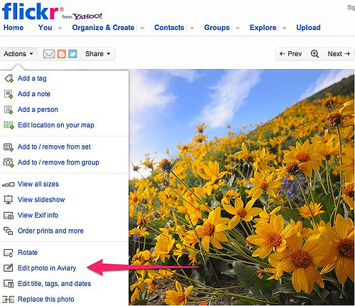 Flickr picnik aviary