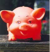 cochon