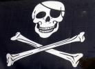 crane virus malware pirate