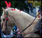 cheval troie noël libre