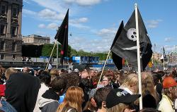 torrent pirate