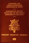 rfid passeport