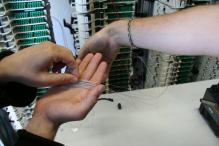 fibre neuf
