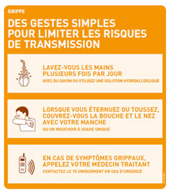 INPES grippe A H5N1 pandémie signes
