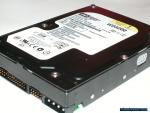 Western Digital