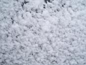 neige