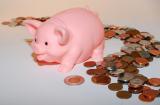 Monnaie dollars euros argent cochon