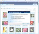 windows home server