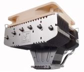 Noctua