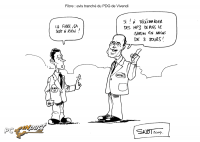 vivendi fibre optique pascal negre