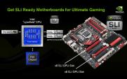 NVIDIA P55 PhysX SLi