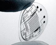 lentille contact