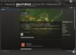 steam