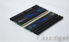 G.Skill Pi Cowcotland