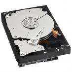 Western digital caviar black