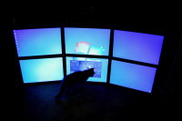 AMD Eyefinity 6