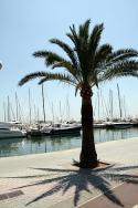 Palma de Majorque GOOC 2010 EU