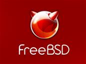 FreeBSD veut abandonner bon nombre de pilotes Ethernet 10/100, colère d'utilisateurs