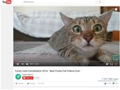 Publicité : davantage de ciblage et d'interactions sur YouTube