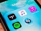 Spotify et Deezer réclament plus de régulation contre les plateformes étrangères en Europe
