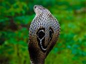 Les États-Unis mettent en garde contre les pirates nord-coréens Hidden Cobra