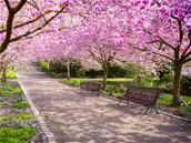 CherryBlossom : WikiLeaks dévoile comment la CIA peut pirater des routeurs