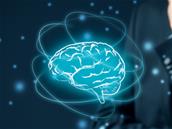Machine learning : ML.NET 0.9 isole les fonctions ayant le plus d'influence