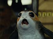 La série Star Wars de Jon Favreau sera The Mandalorian