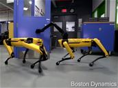 Le robot « chien » Spot de Boston Dynamics travaille avec la police du Massachusetts