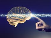 Semaine du cerveau : cinq conférences à voir en direct la semaine prochaine