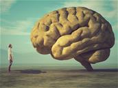 CNRS : décoder le langage interne du cerveau pour « de nouvelles interfaces cerveau-machine »