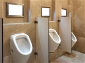 Des députés veulent interdire les écrans publicitaires dans les toilettes