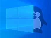 Canonical vante le développement unifié pour Linux et Windows grâce à .Net Core et WSL de Microsoft
