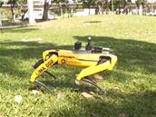 À Singapour, le robot Spot de Boston Dynamics rappelle les gestes barrières