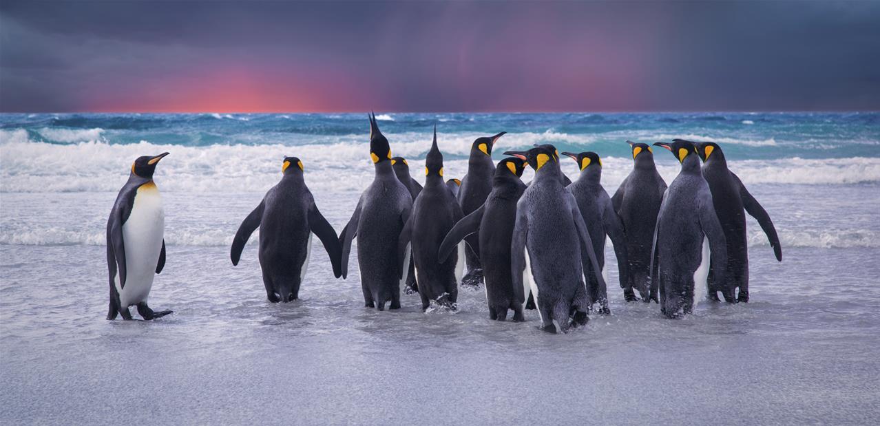 Le noyau Linux et le projet GNU se dotent de nouvelles lignes de conduite