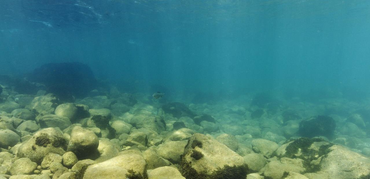 #Replay : océan de plastique, oracle de Delphes et dinosaures