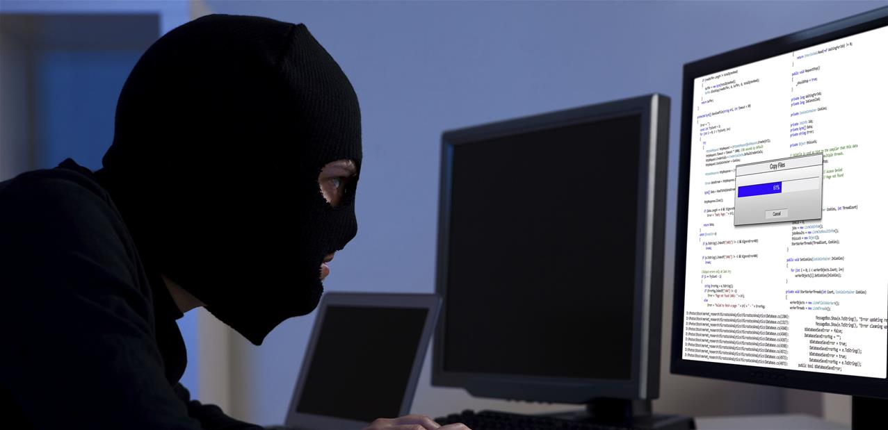 Comment Appelle-t-on Ce Type De Pirate Informatique Pix
