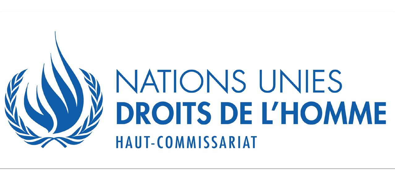 Directive Droit d’auteur : à l'ONU, les inquiétudes du Rapporteur spécial à la liberté d'expression