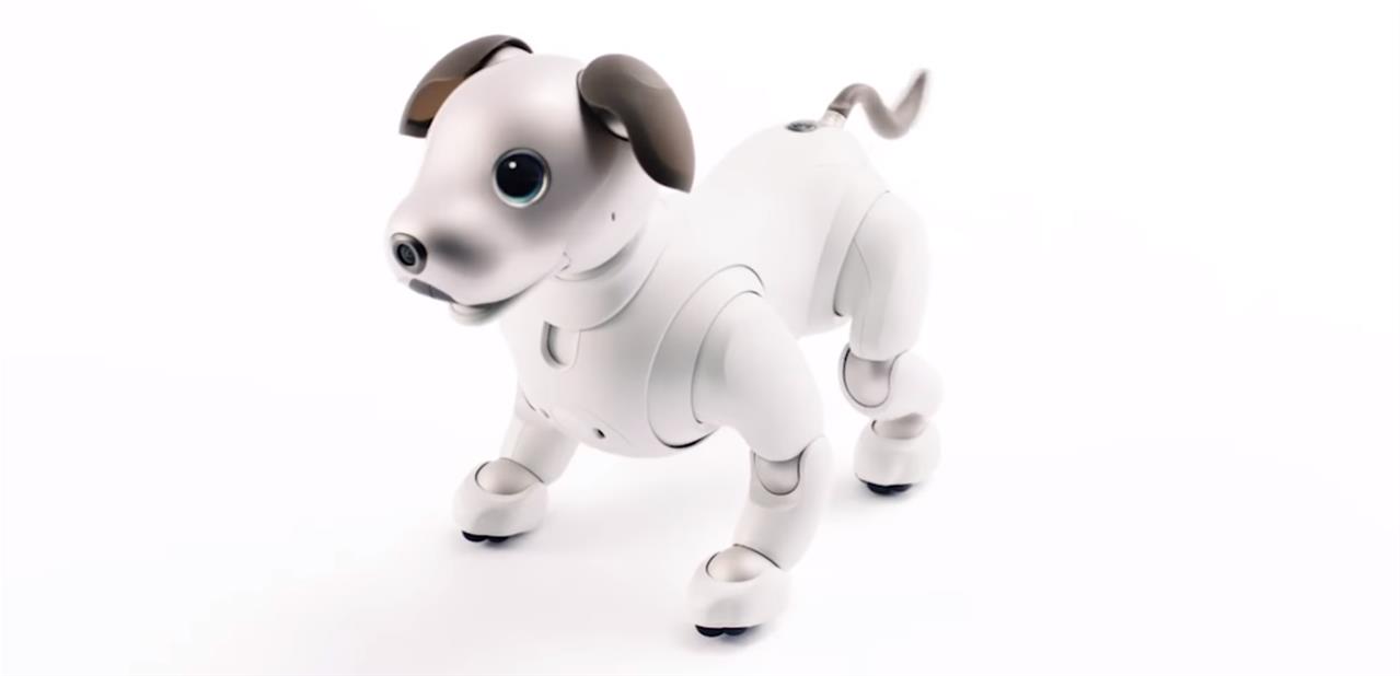 Le chien robot Aibo de Sony est officiel