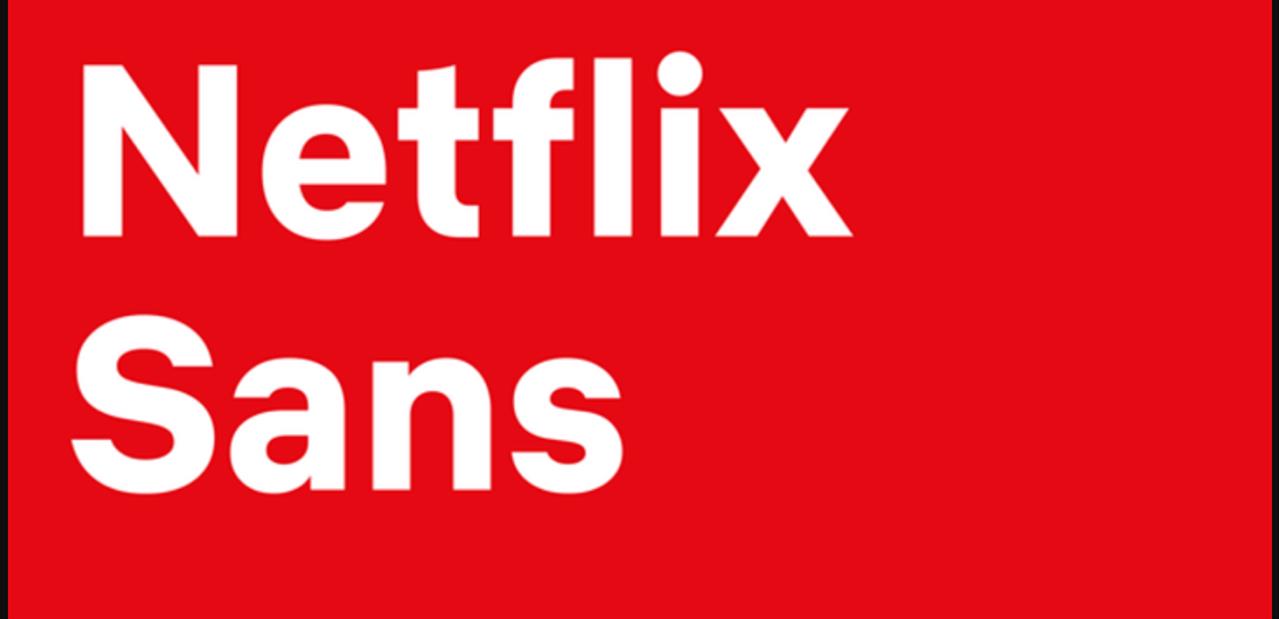 Netflix : 139 millions d'abonnés et des analystes inquiets pour l'avenir