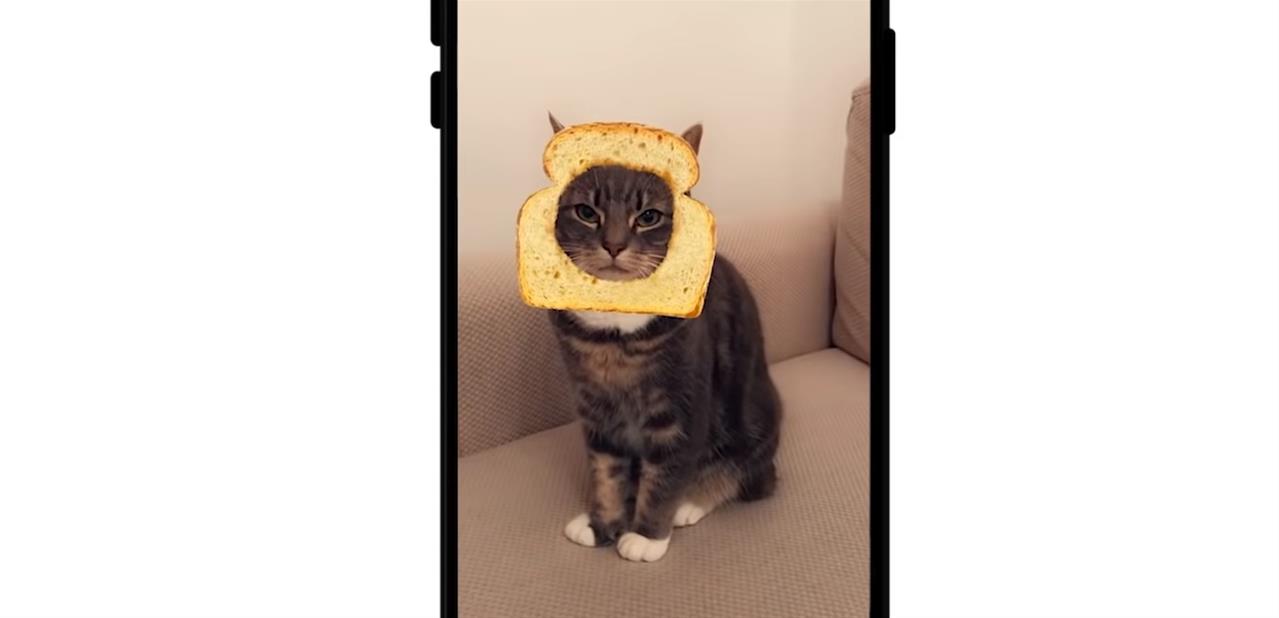 SnapLion : des employés auraient utilisé des outils internes pour espionner des utilisateurs Snapchat