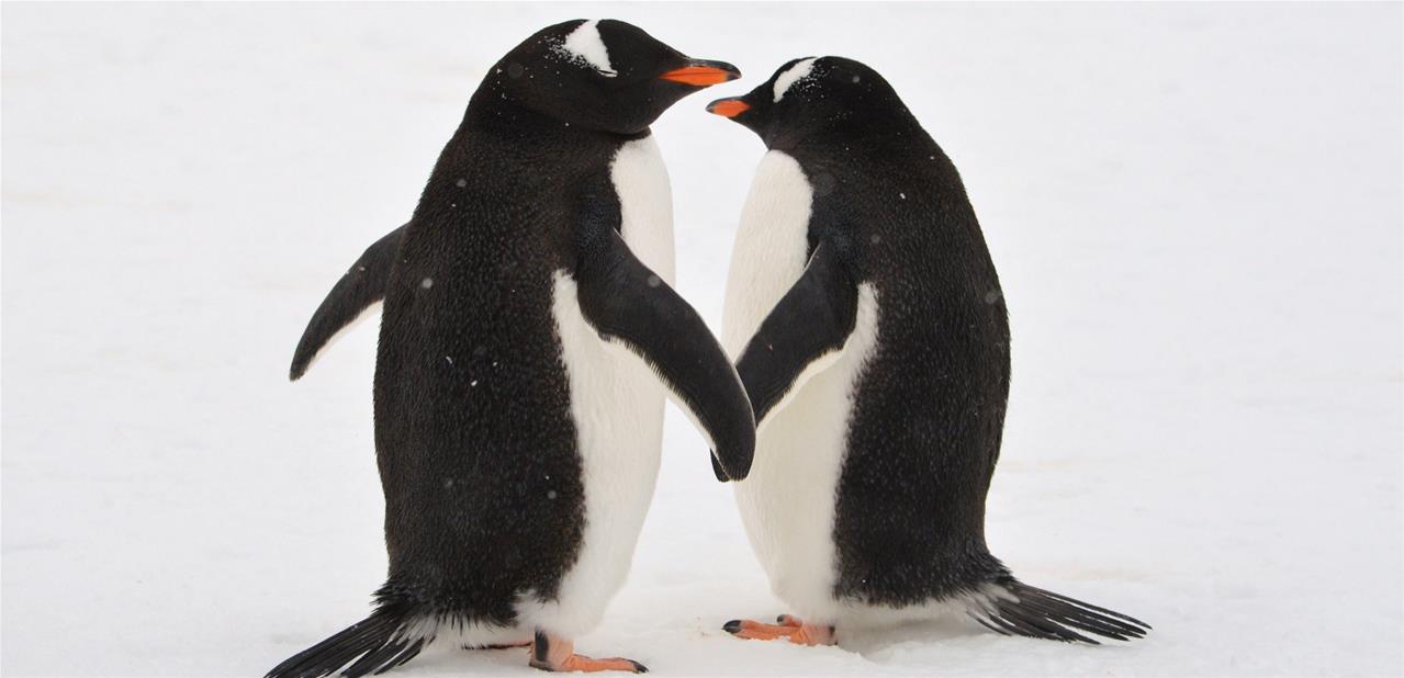 Scientific Linux va disparaître au profit de CentOS